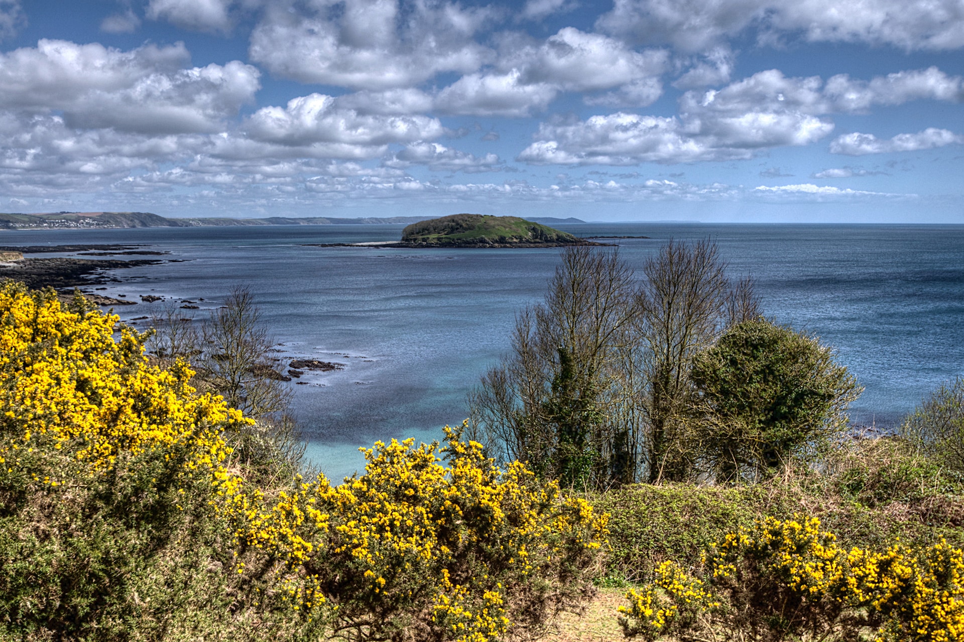 Looe Island
